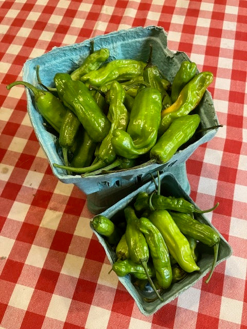 Blue Mountain - Shishito Peppers