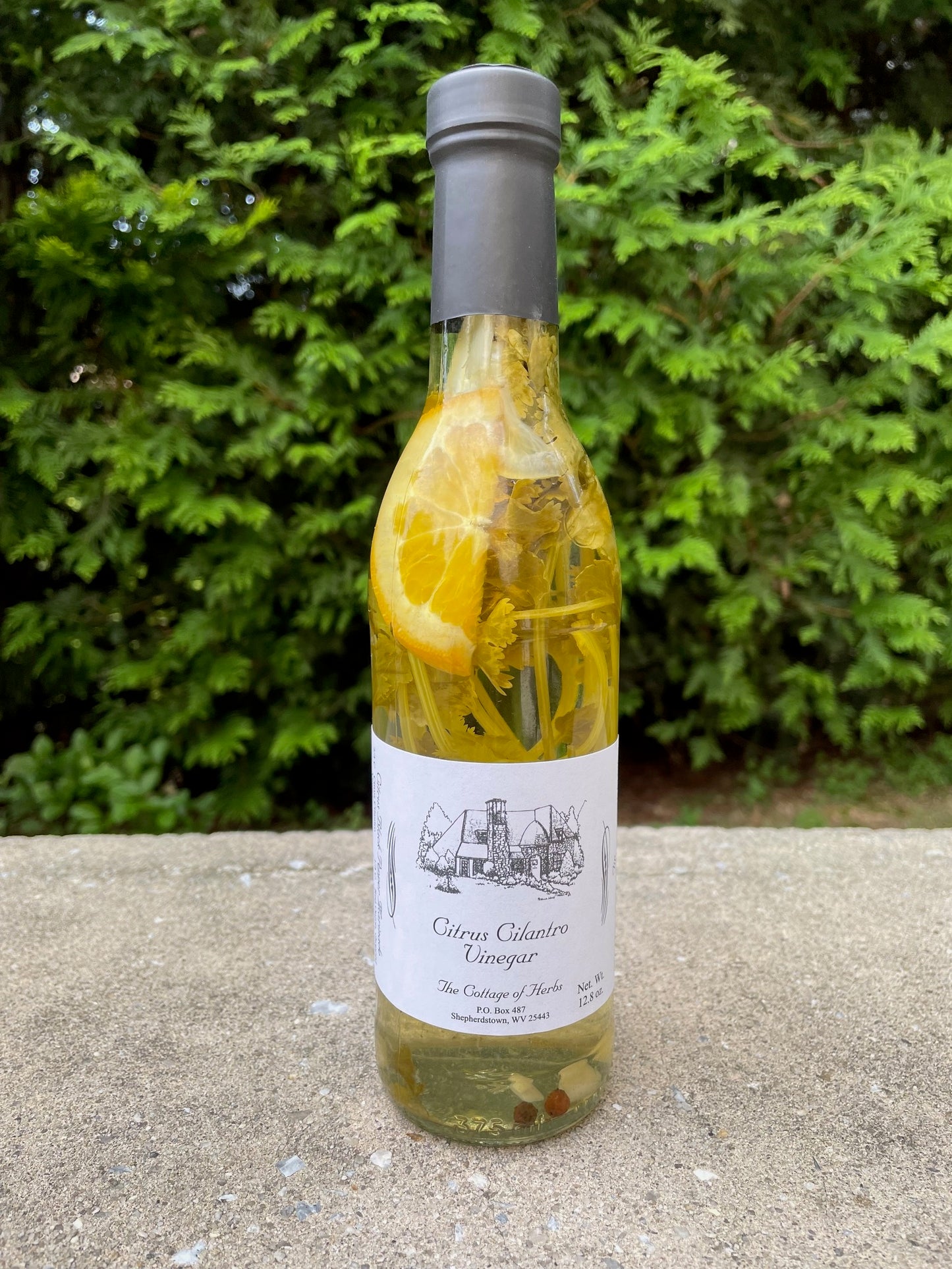 Cottage of Herbs - Cirtrus Cilantro Vinegar