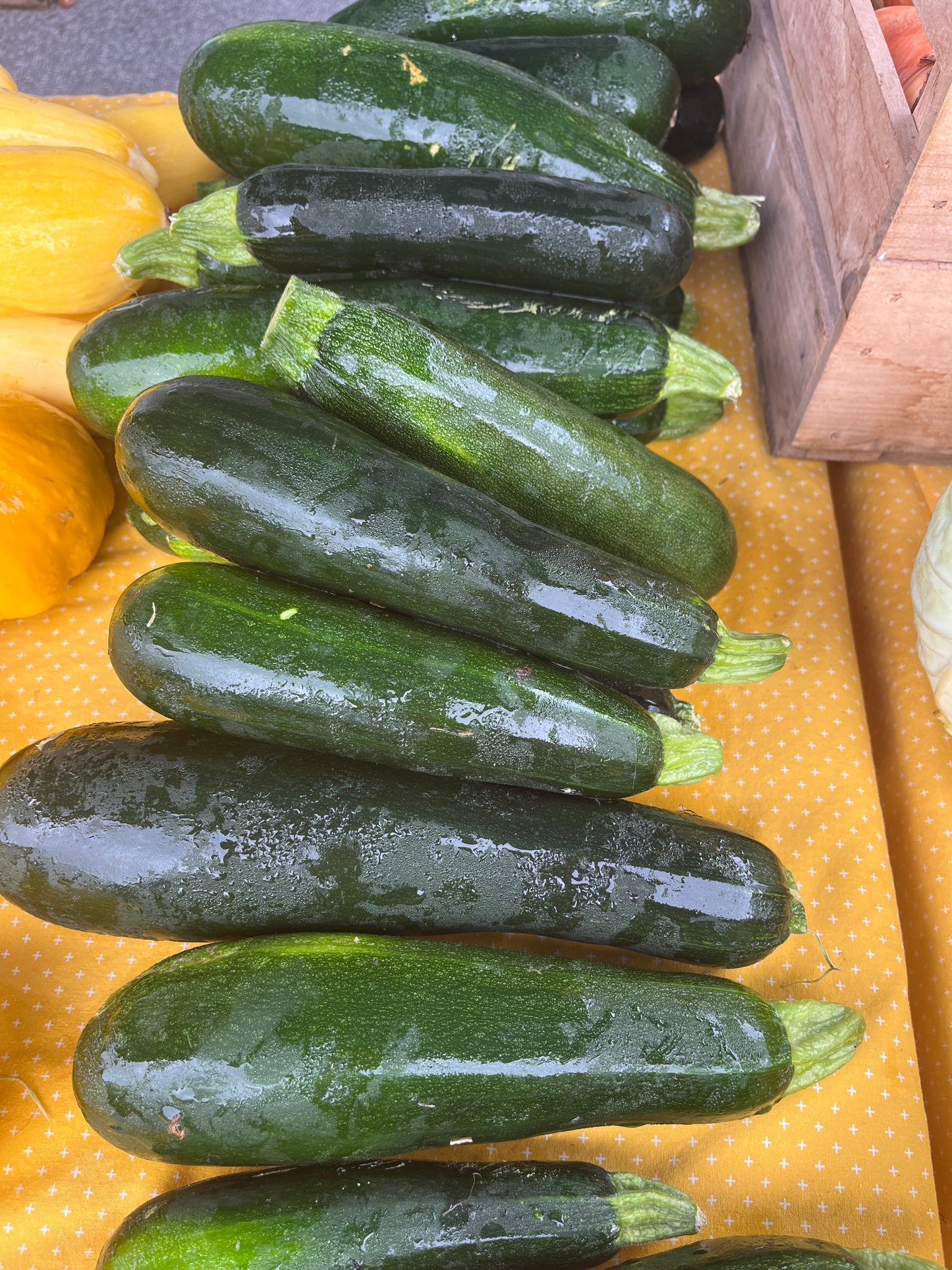 Tudor Hall Farm - Zucchini