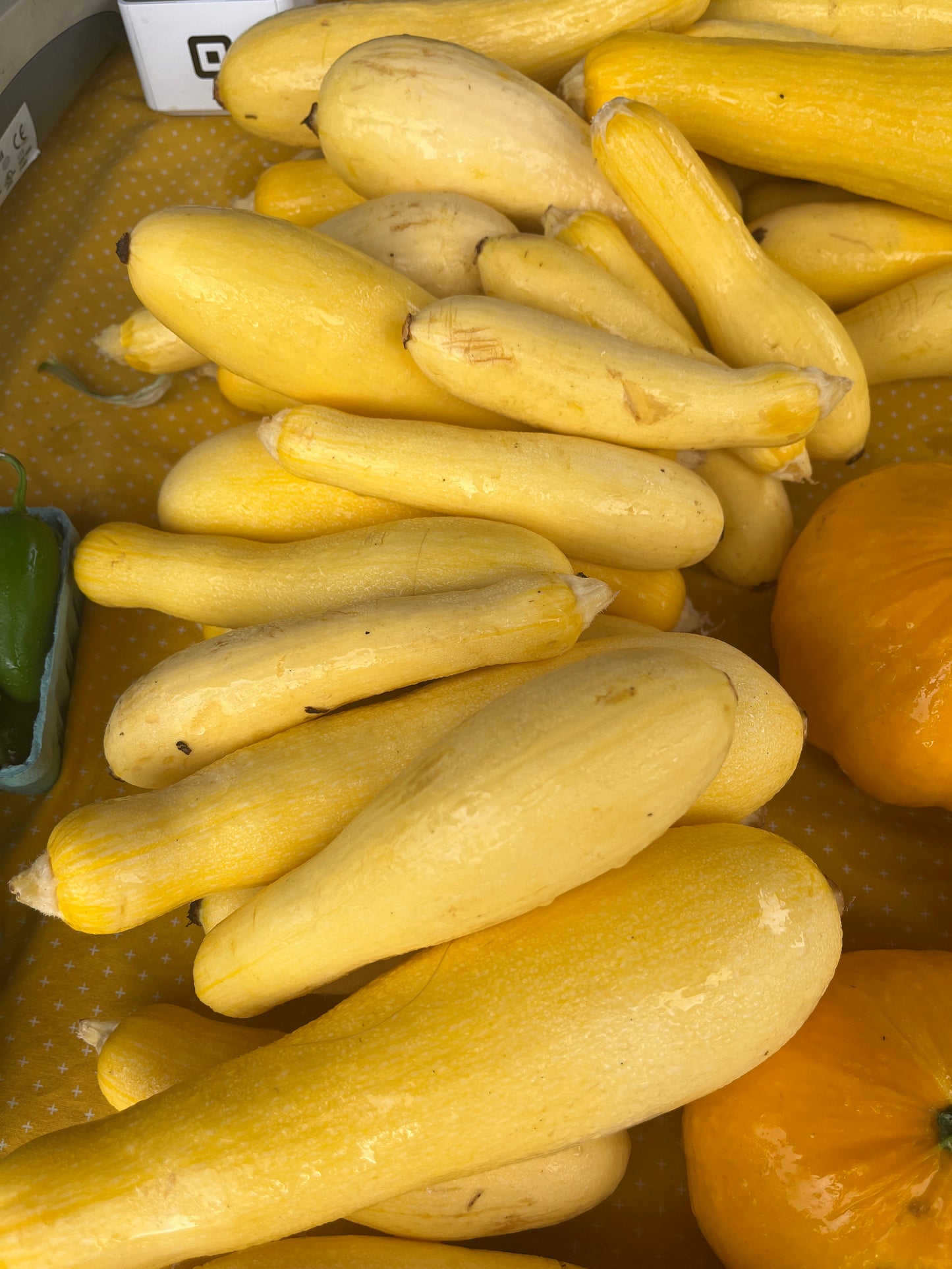 Tudor Hall Farm - Squash