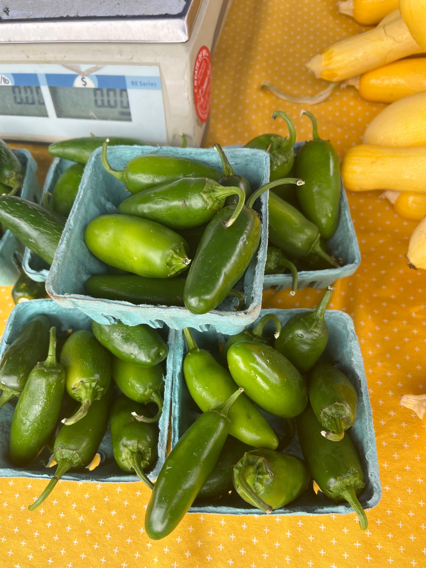 Tudor Hall Farm - Jalapeños
