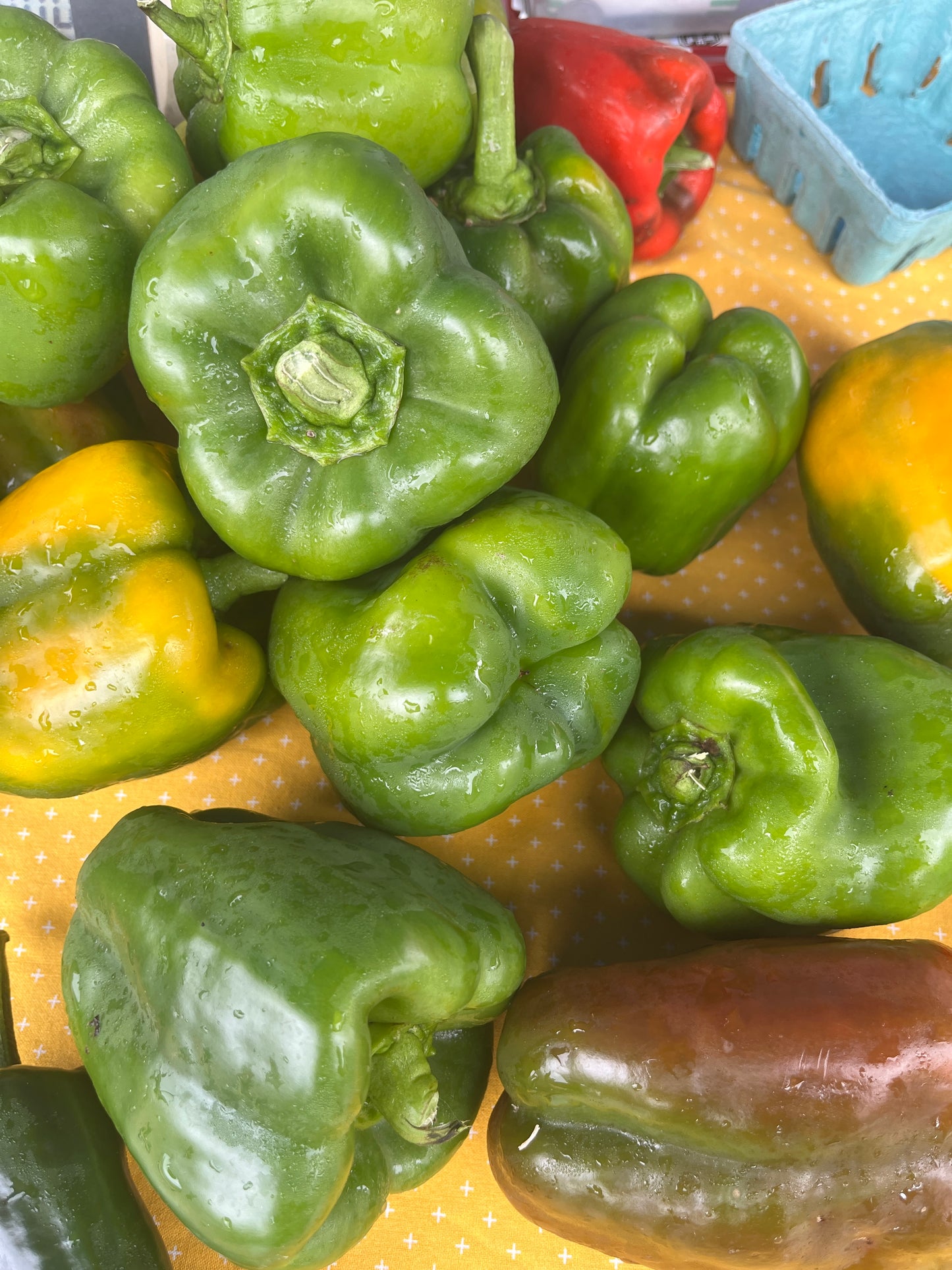 Tudor Hall Farm - Bell Peppers