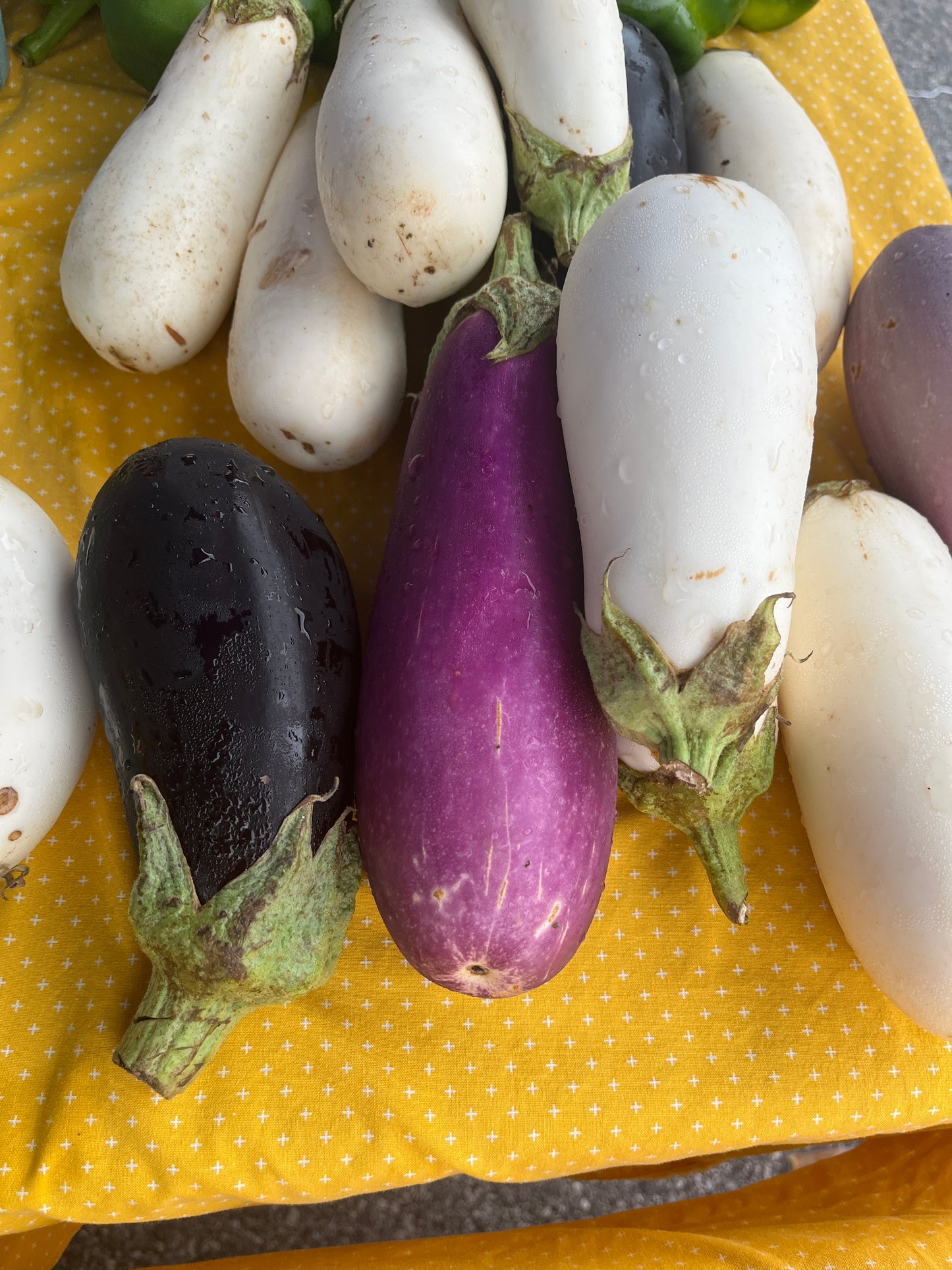 Tudor Hall Farm - Eggplant