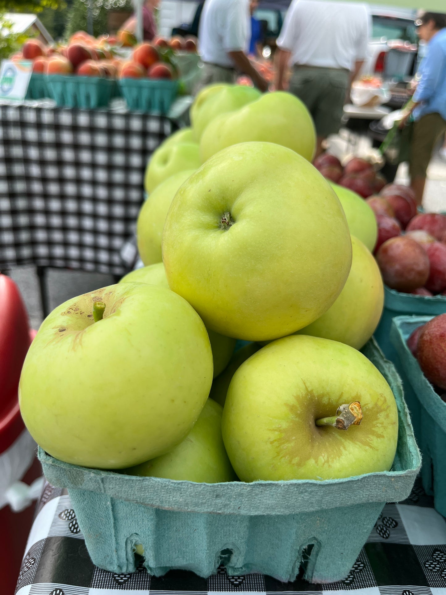 Twin Ridge - Ginger Gold Apples