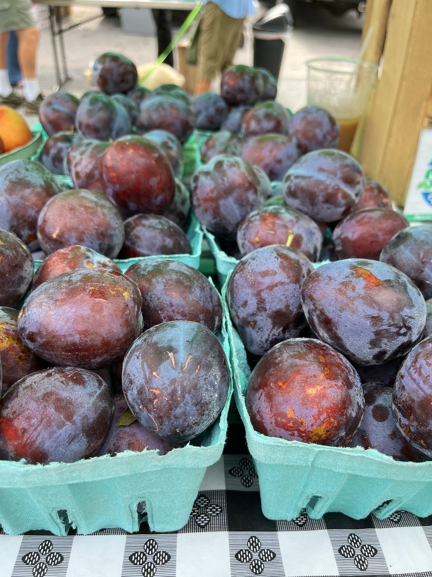 Twin Ridge - Plum