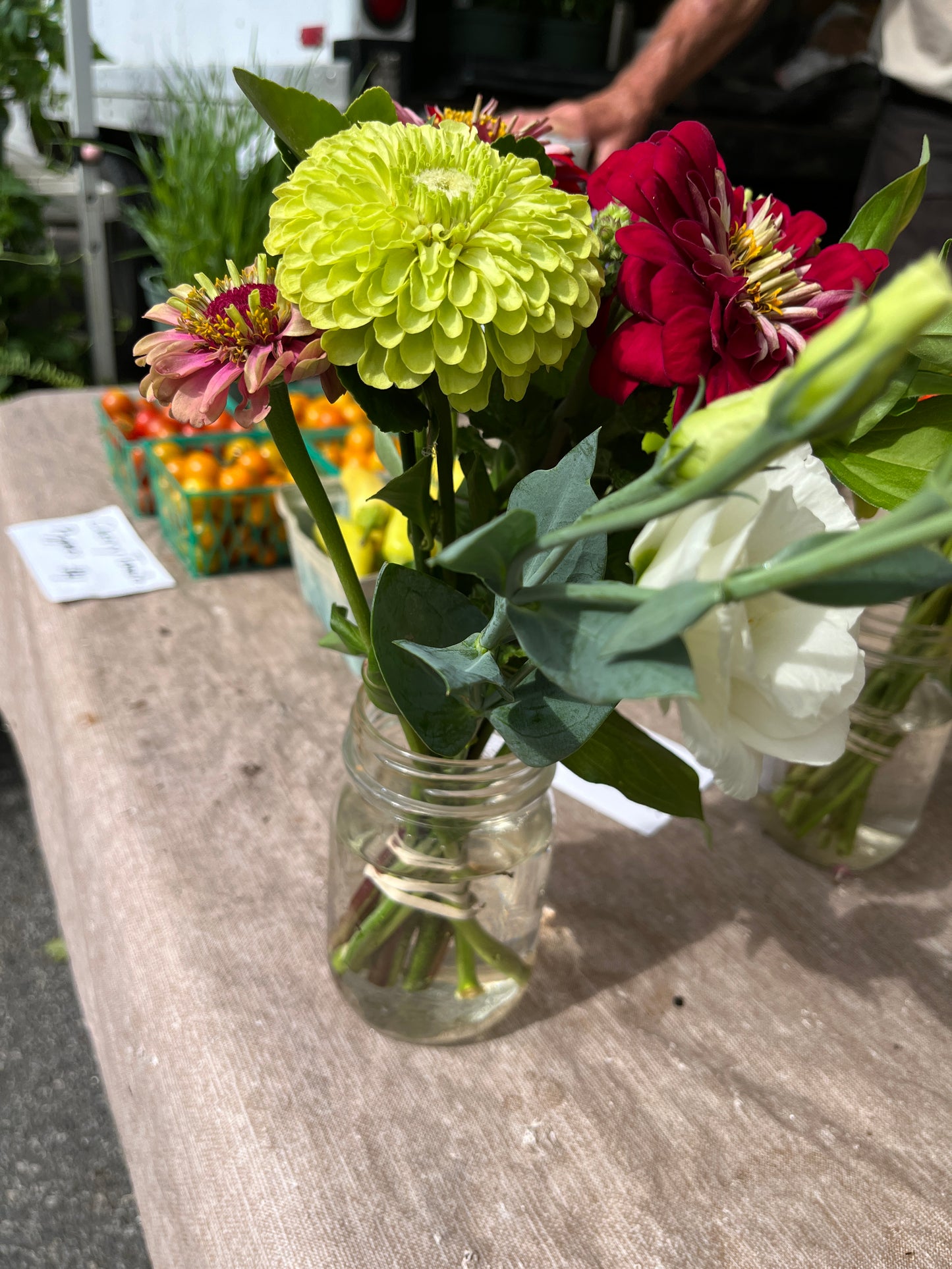 Middleway - Cut Flowers