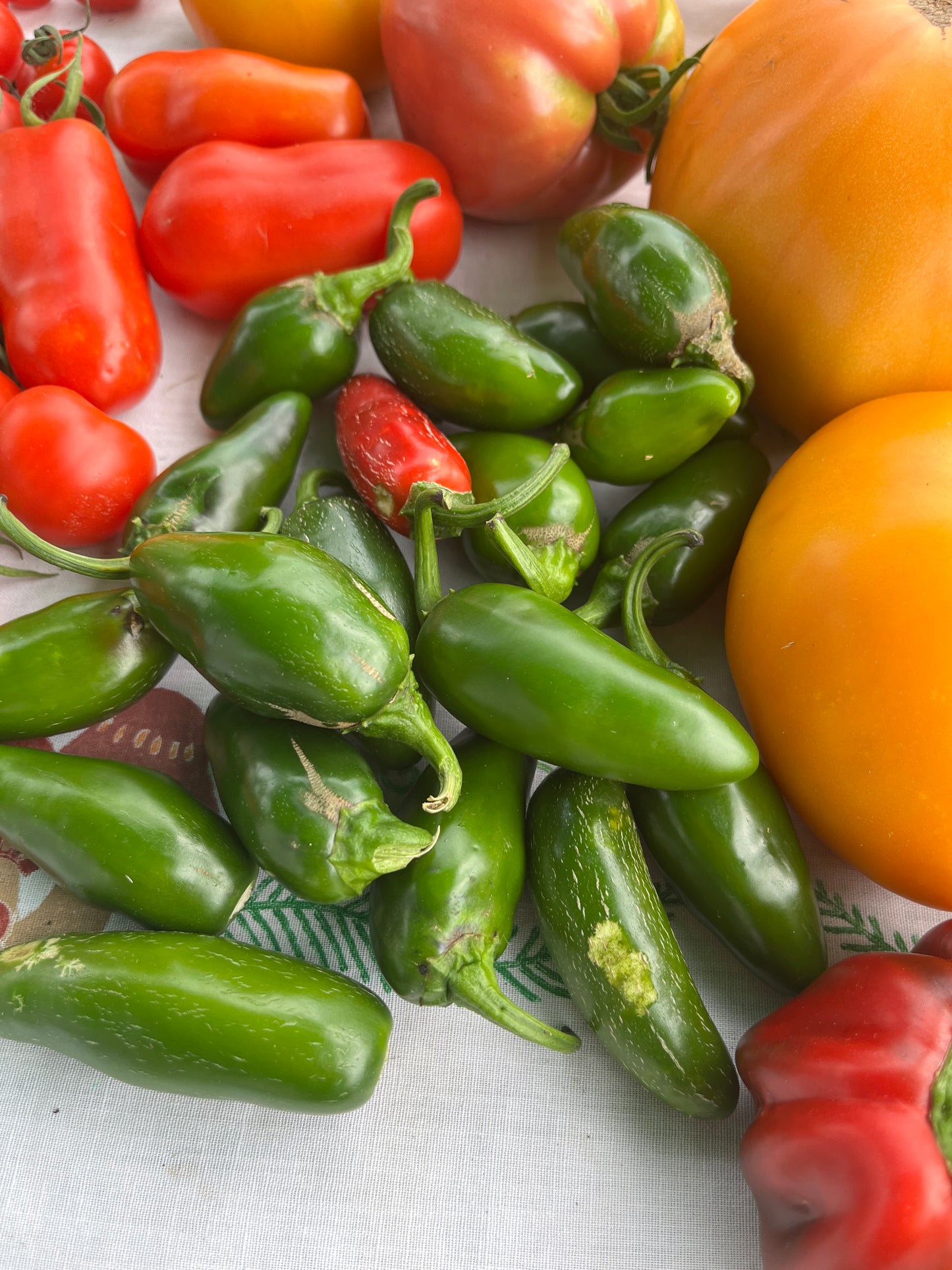 Rooster - Jalapenos