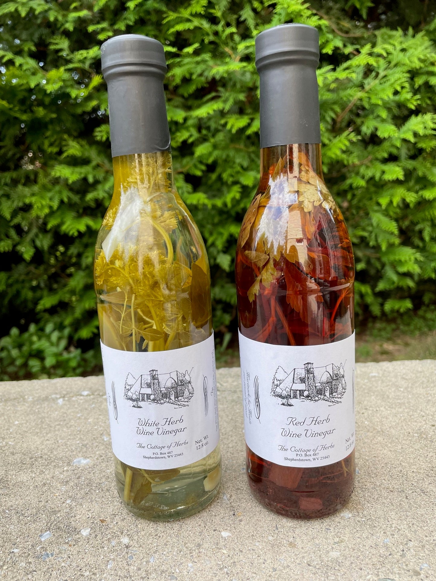 Cottage of Herbs - White Herb Wine Vinegar