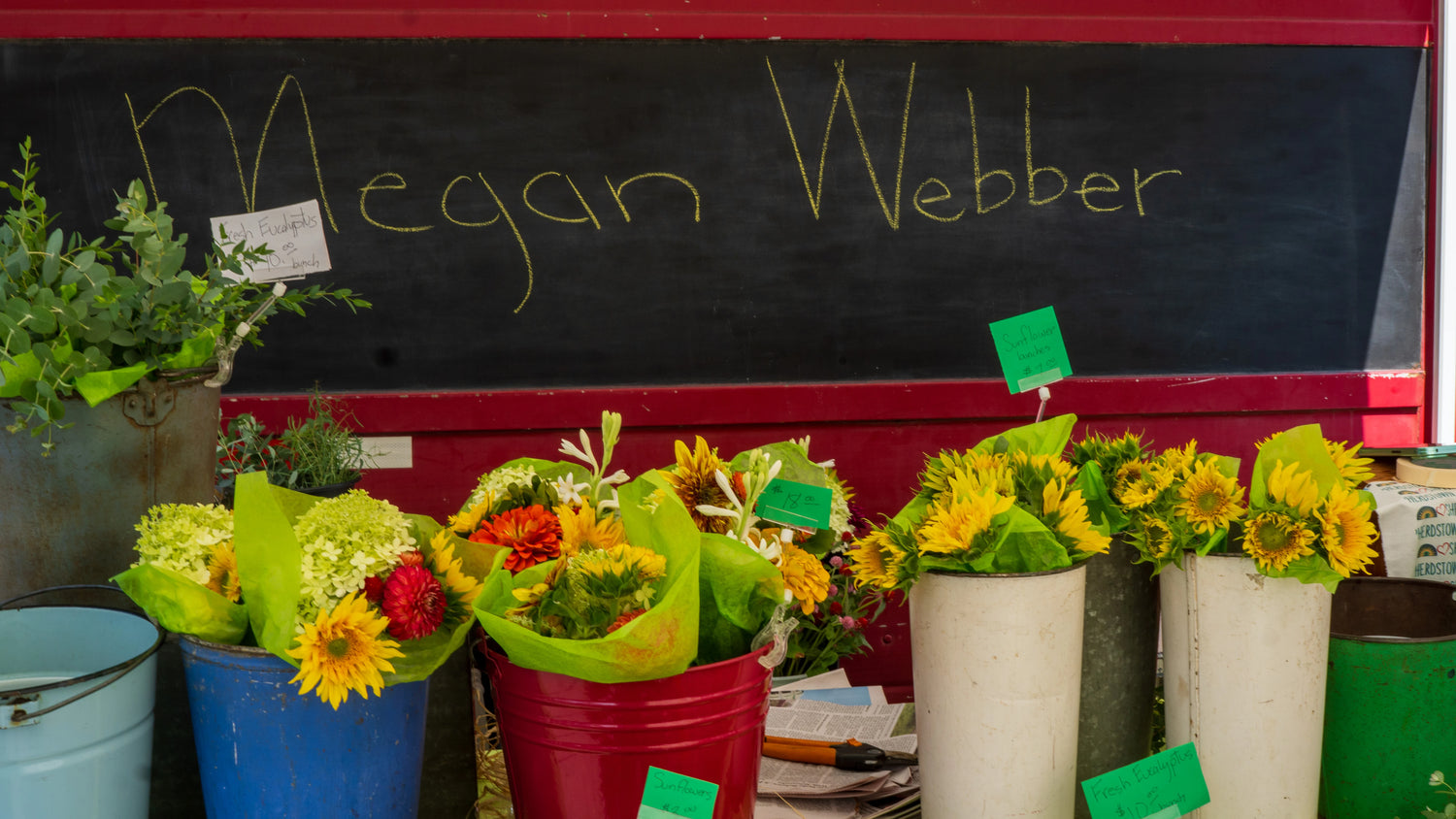 Megan Webber Flowers