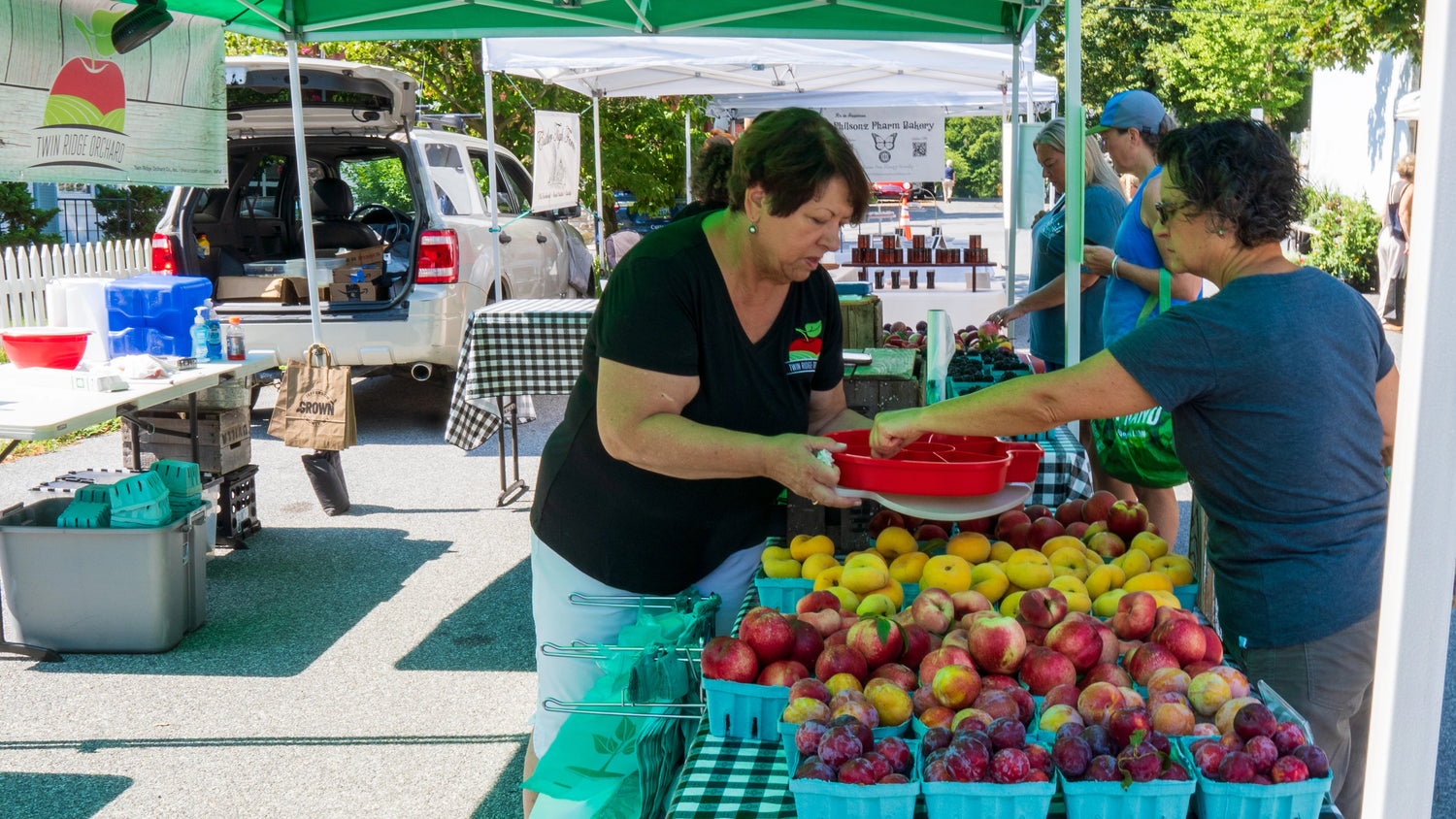 Twin Ridge Orchard