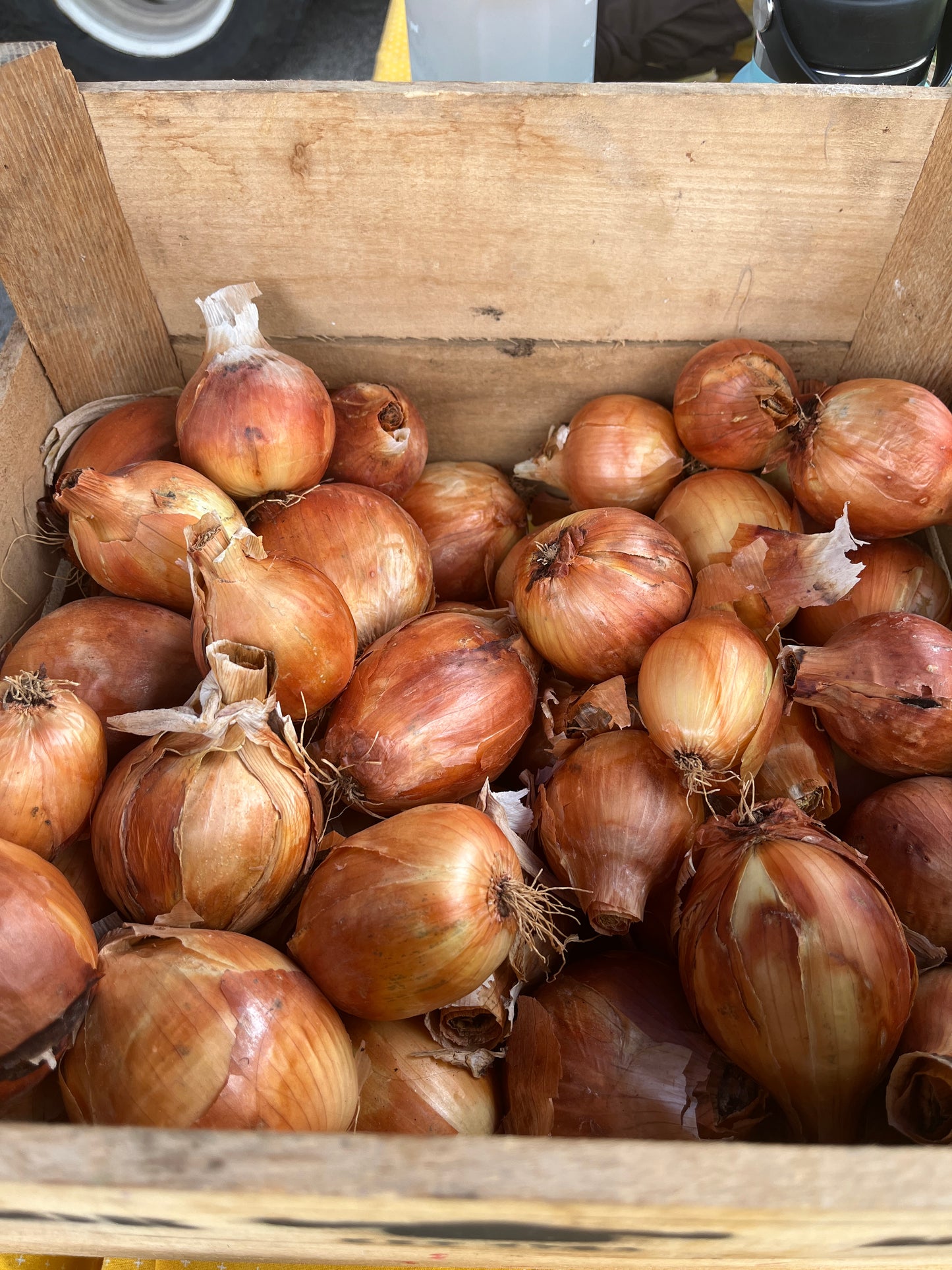 Tudor Hall Farm - Onions